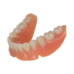 bottom-cpremium denture